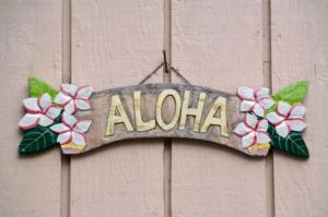 Welcome to our website!